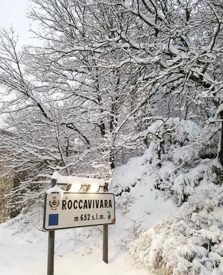 Bellavista B&B Roccavivara Екстериор снимка